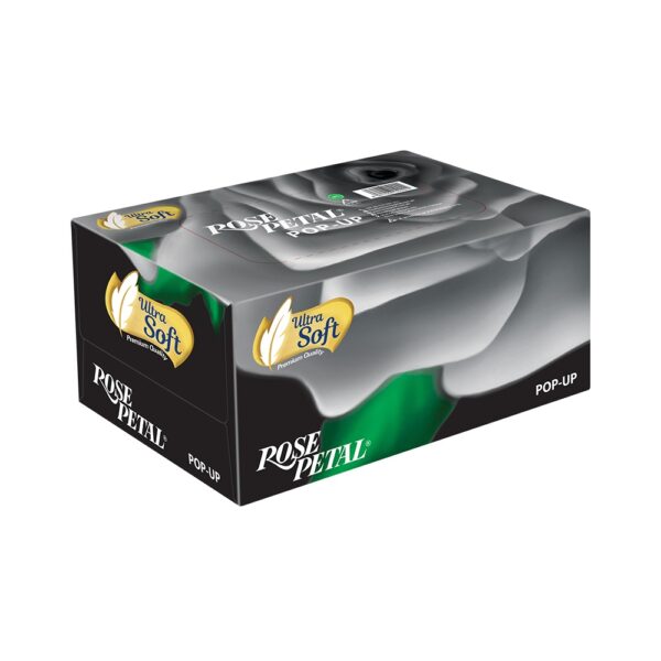 TISSUE BOX POPUP 300 SHEET